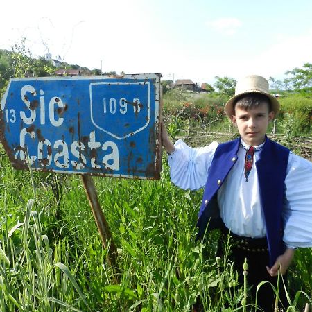 Csipkeszeg Bed & Breakfast Sic / Szek Romania 외부 사진
