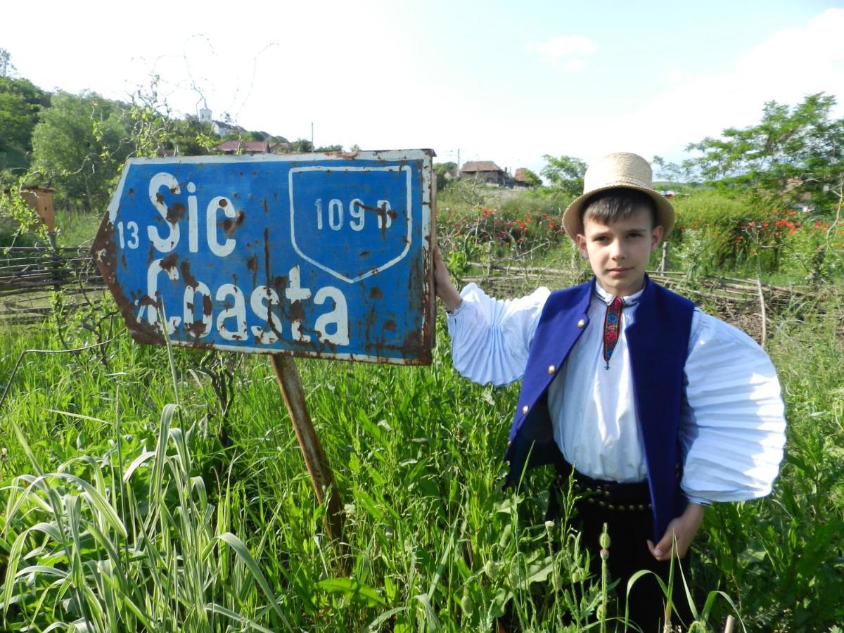 Csipkeszeg Bed & Breakfast Sic / Szek Romania 외부 사진