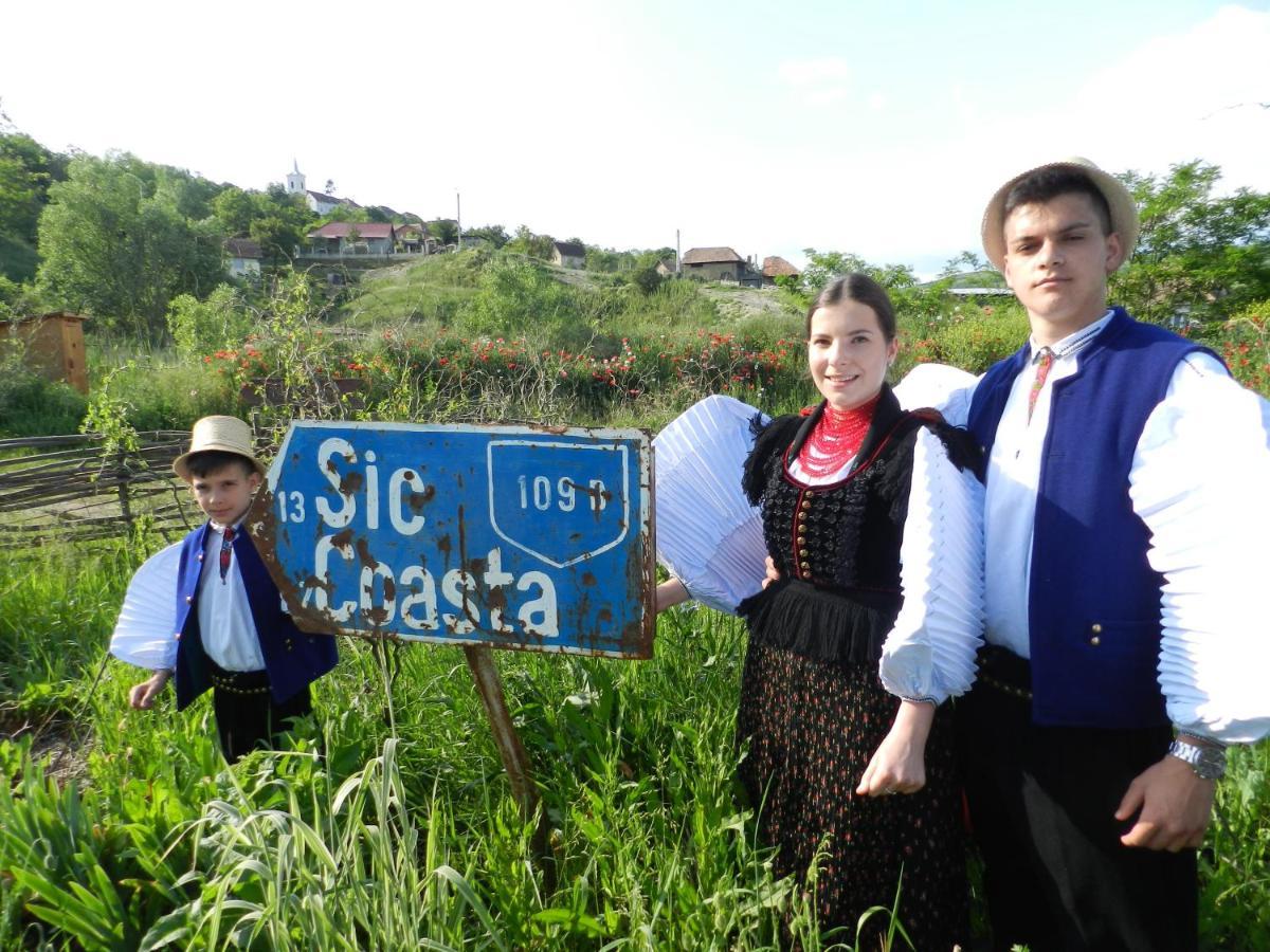 Csipkeszeg Bed & Breakfast Sic / Szek Romania 외부 사진