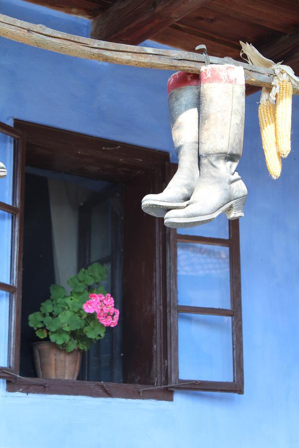 Csipkeszeg Bed & Breakfast Sic / Szek Romania 외부 사진