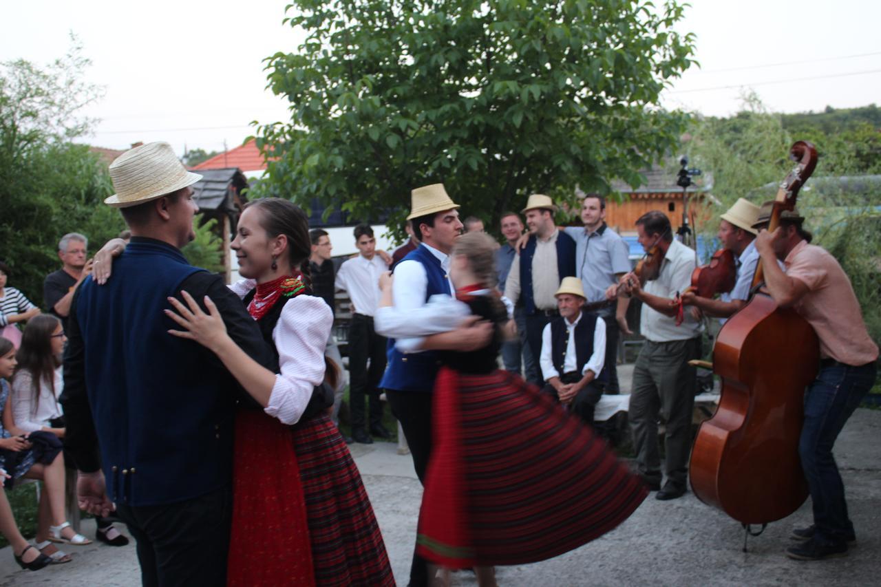 Csipkeszeg Bed & Breakfast Sic / Szek Romania 외부 사진