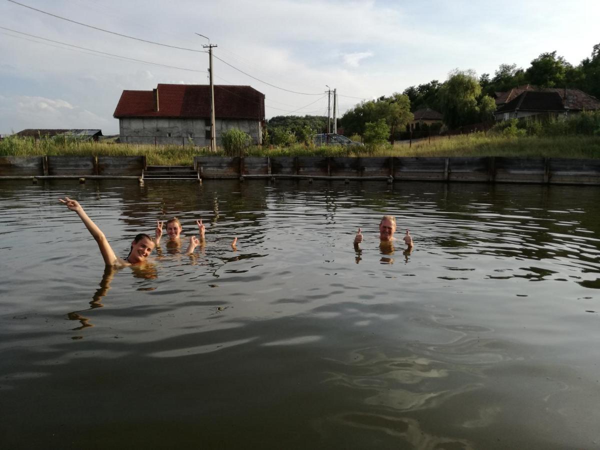 Csipkeszeg Bed & Breakfast Sic / Szek Romania 외부 사진